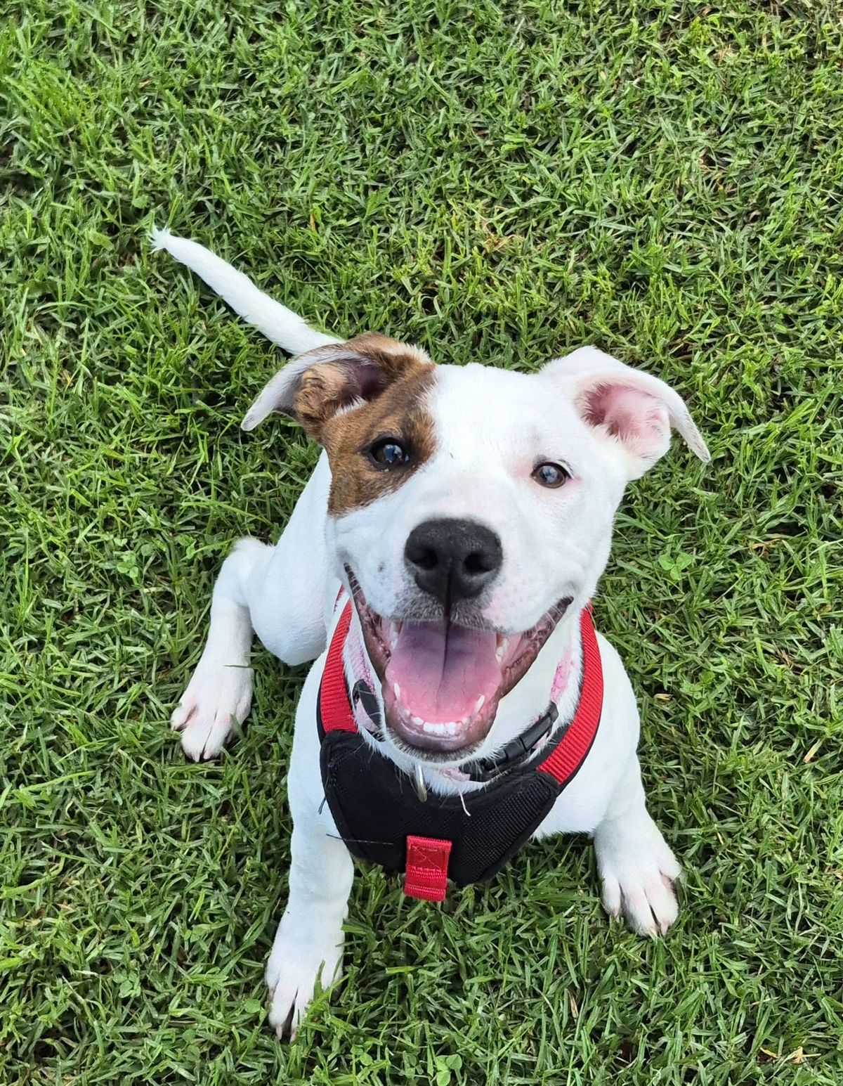 Gallery image: Sugar