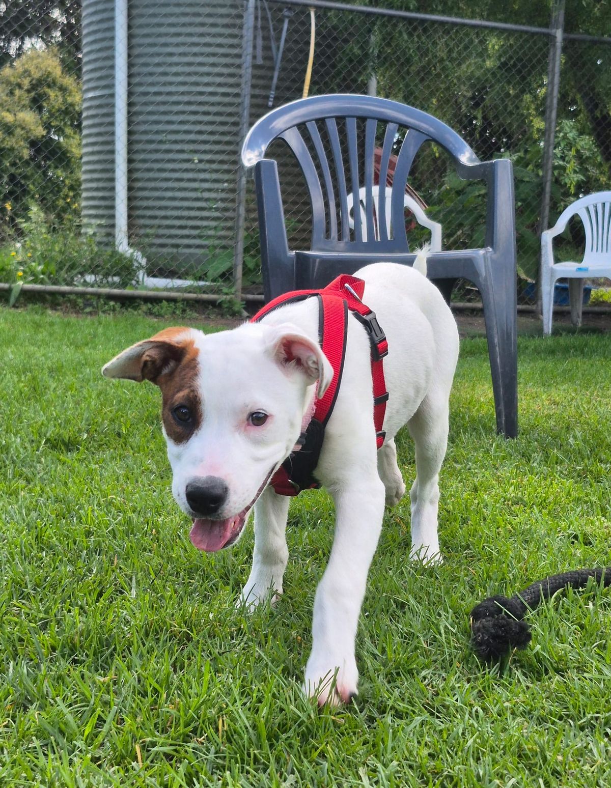 Gallery image: Sugar