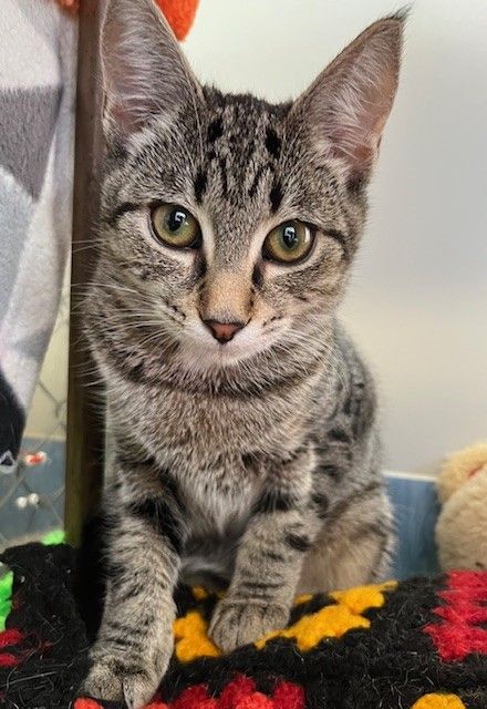 Gallery image: Claire