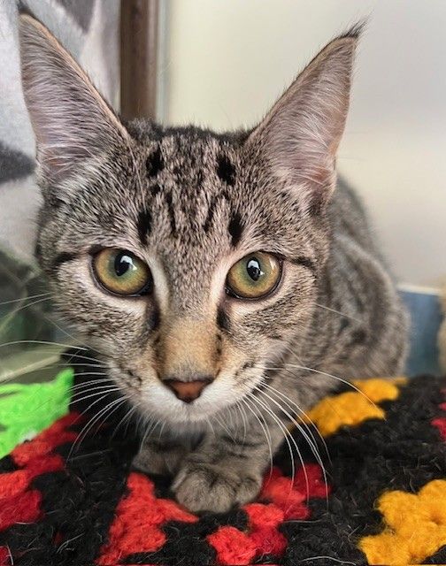 Gallery image: Claire