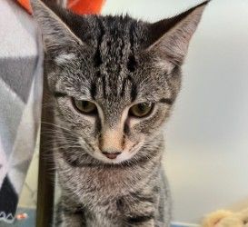 Gallery image: Claire