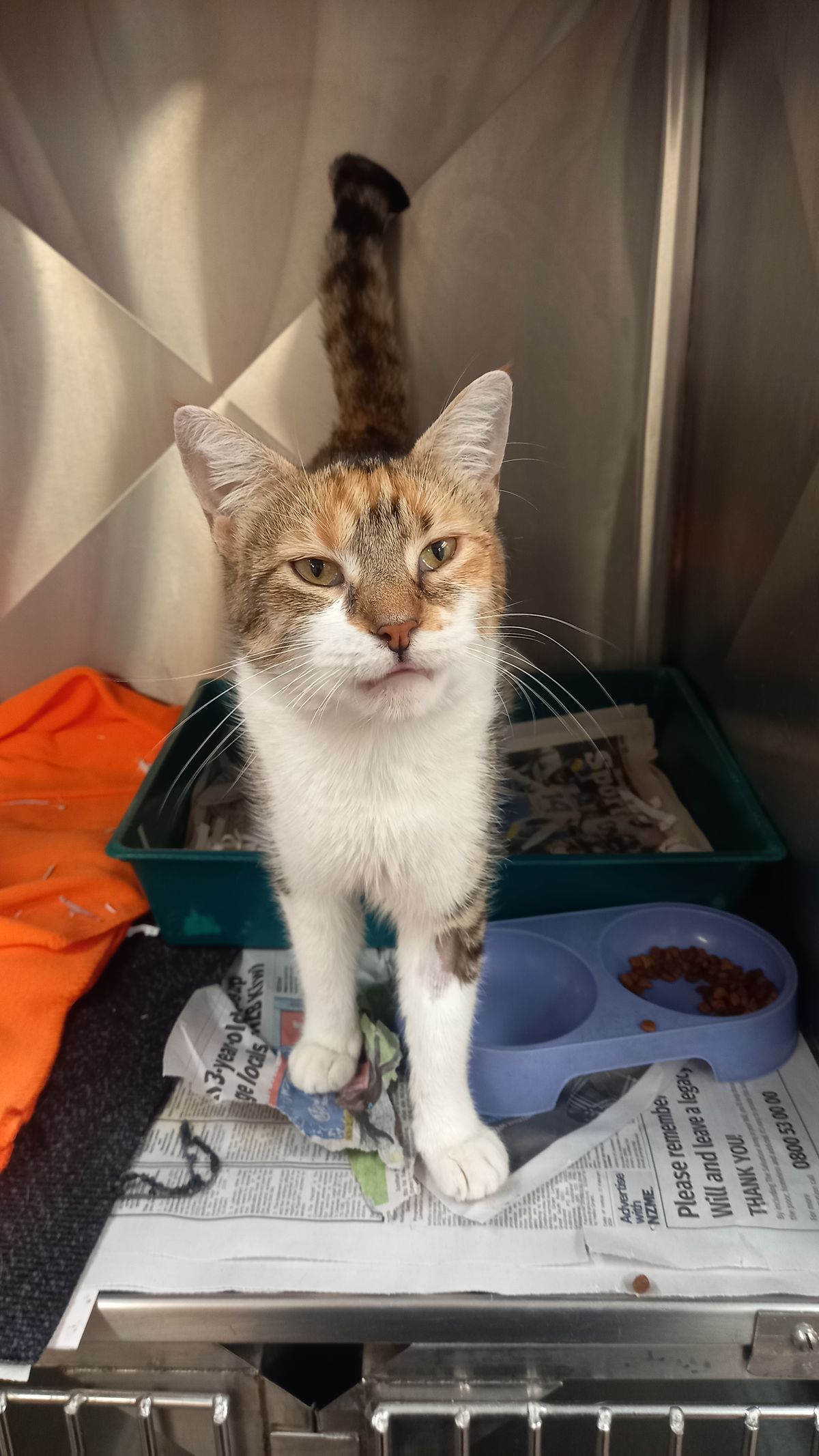 Gallery image: Everly 