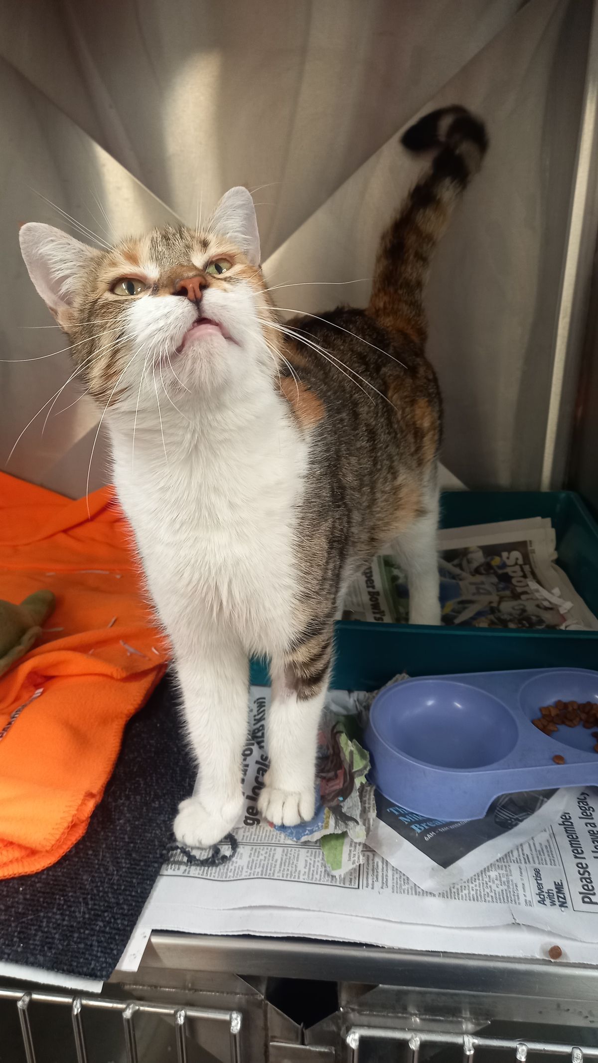 Gallery image: Everly 