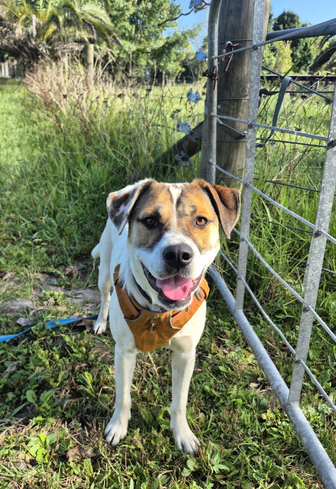 Gallery image: Marley