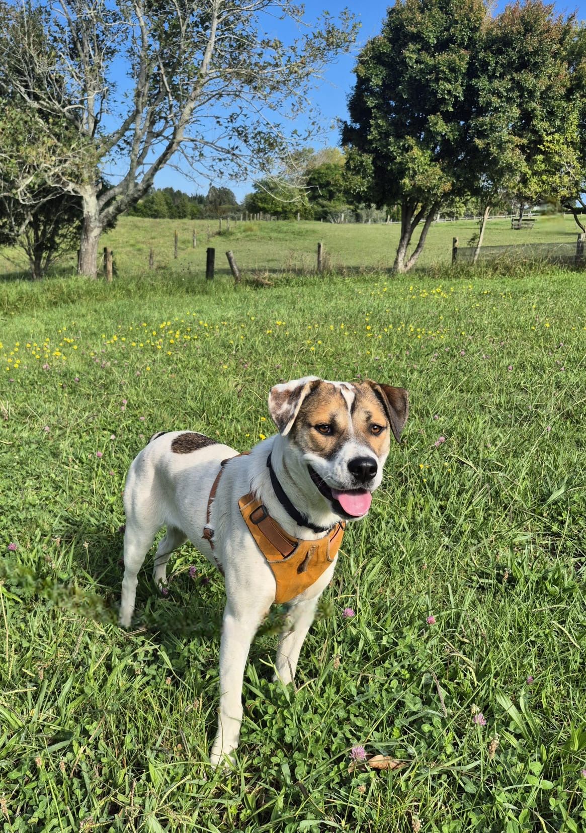 Gallery image: Marley