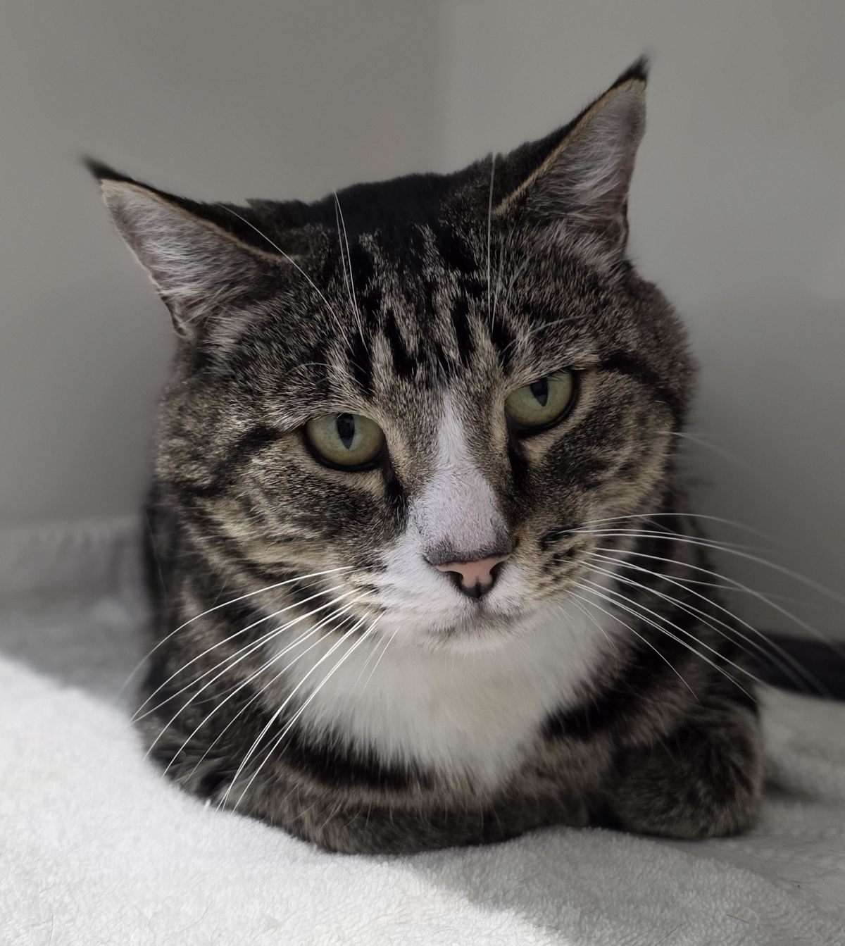 Gallery image: Rumble