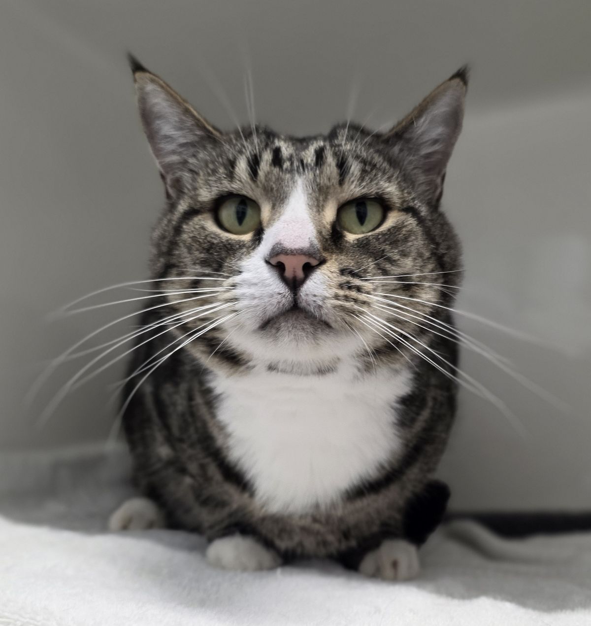 Gallery image: Rumble