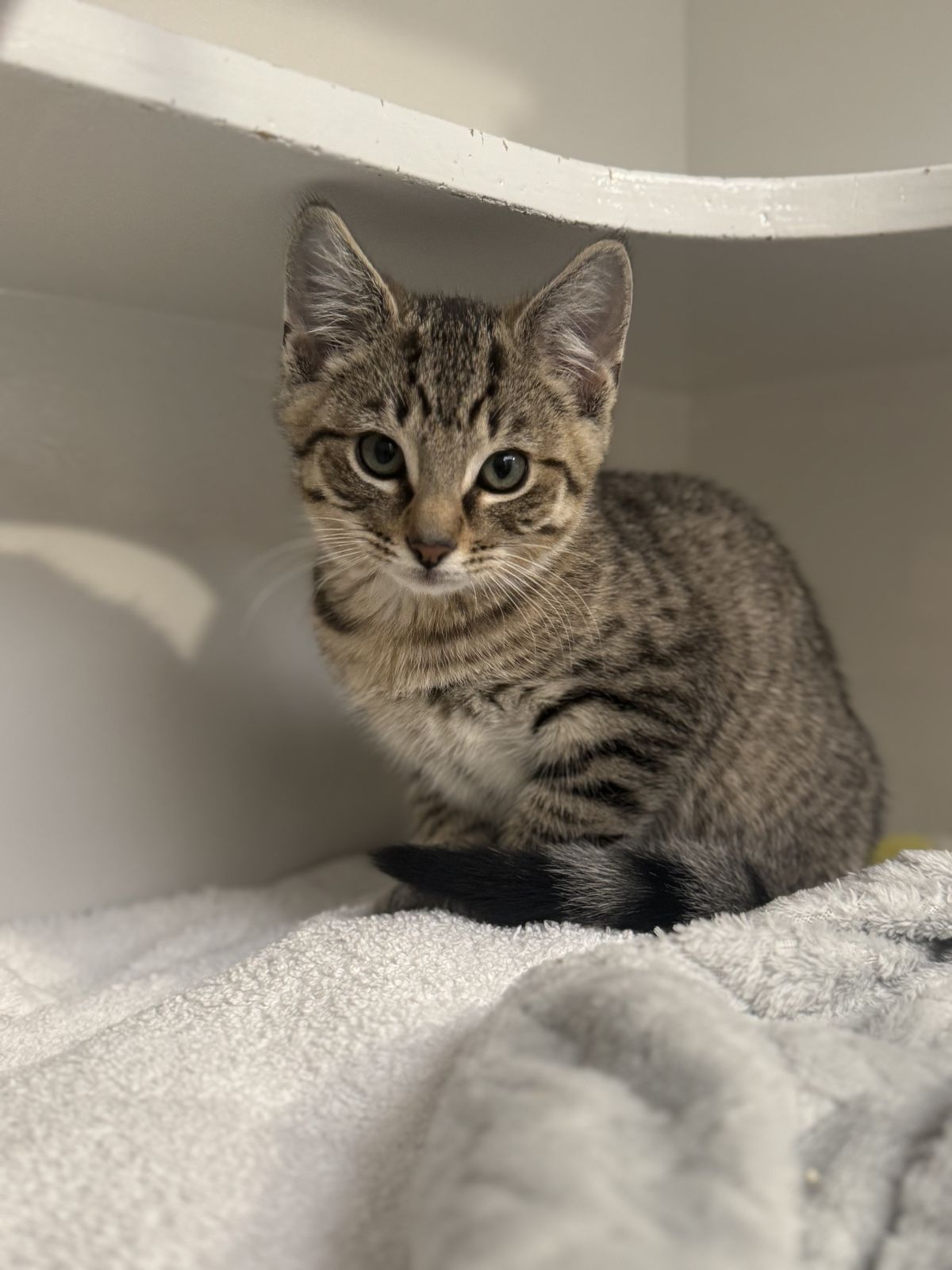 Gallery image: Boston