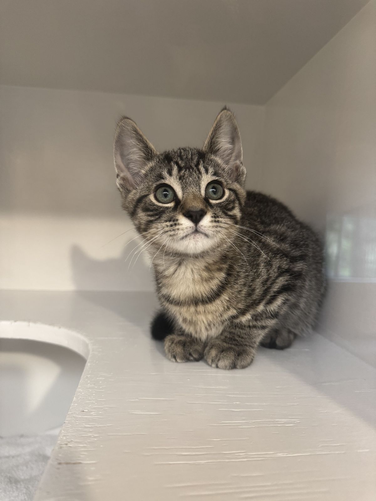 Gallery image: Berlin