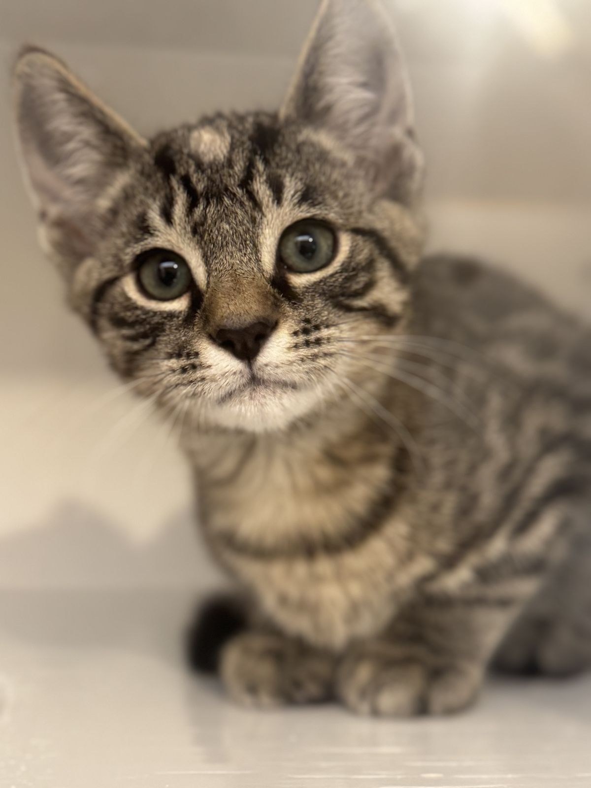 Gallery image: Berlin