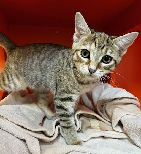 Gallery image: Victoria