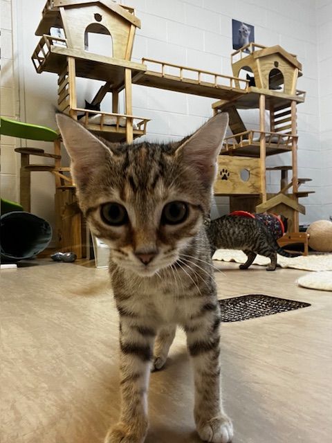 Gallery image: Victoria