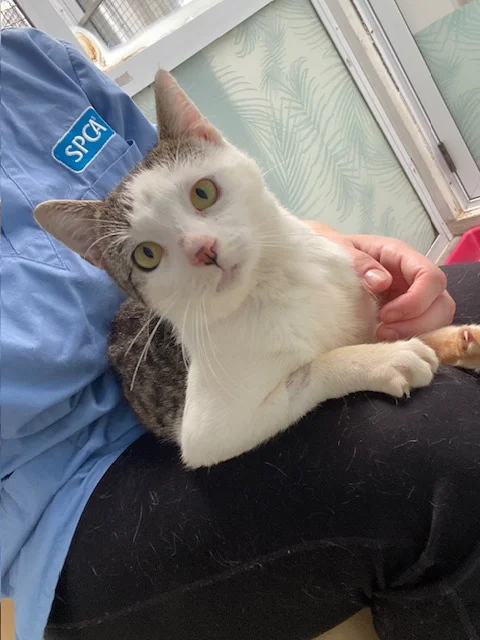 Gallery image: Edgar