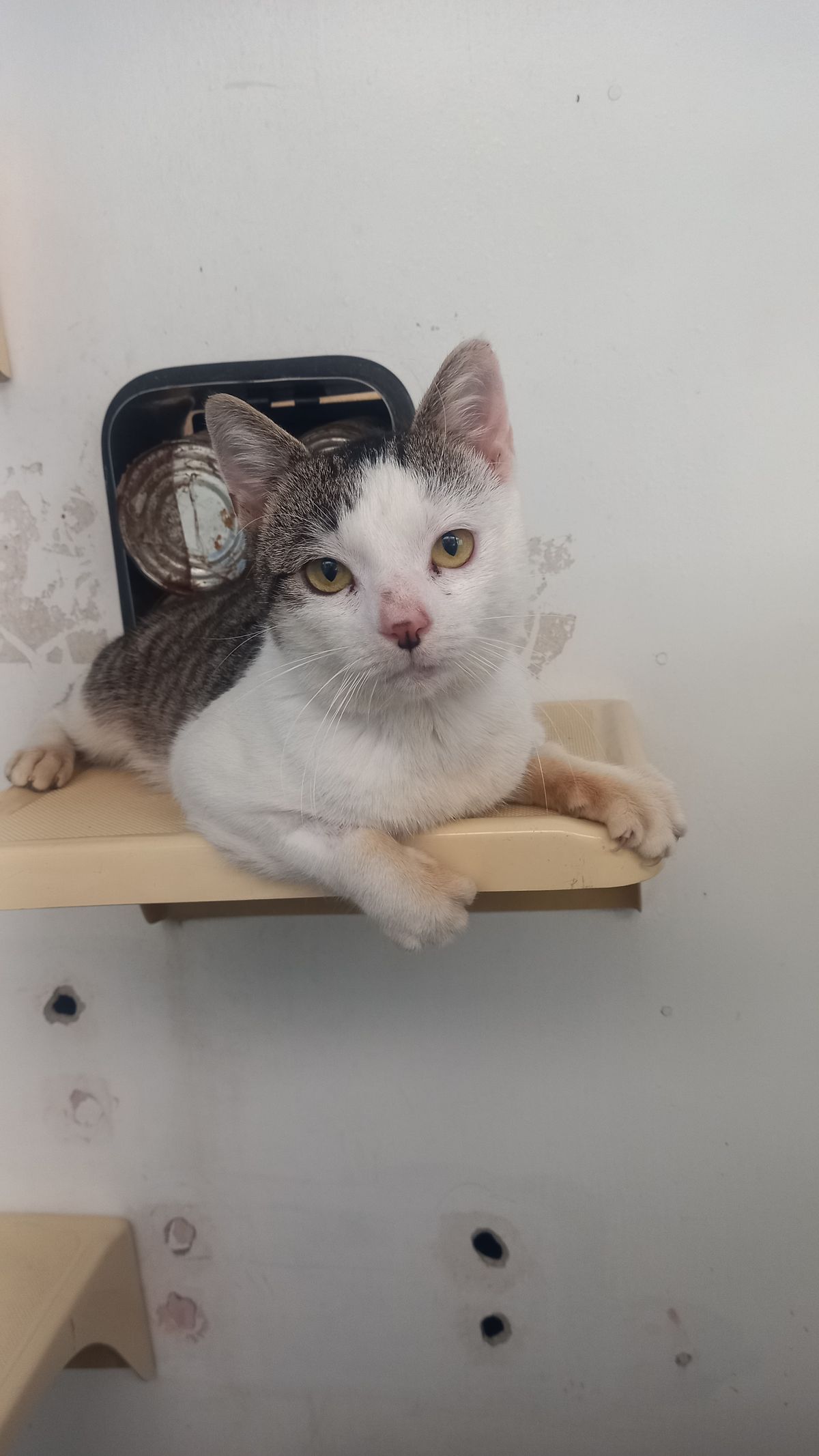 Gallery image: Edgar