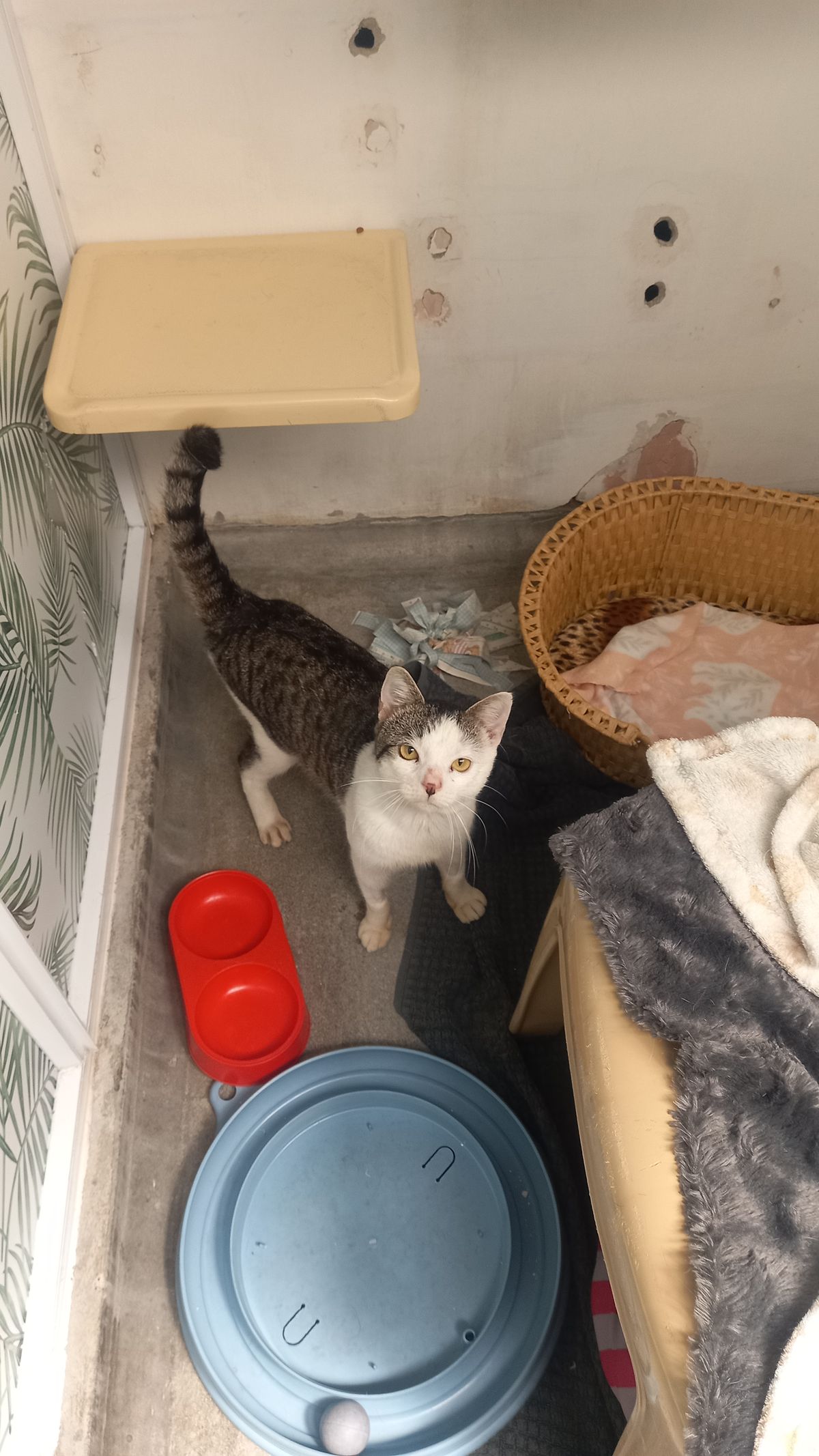 Gallery image: Edgar