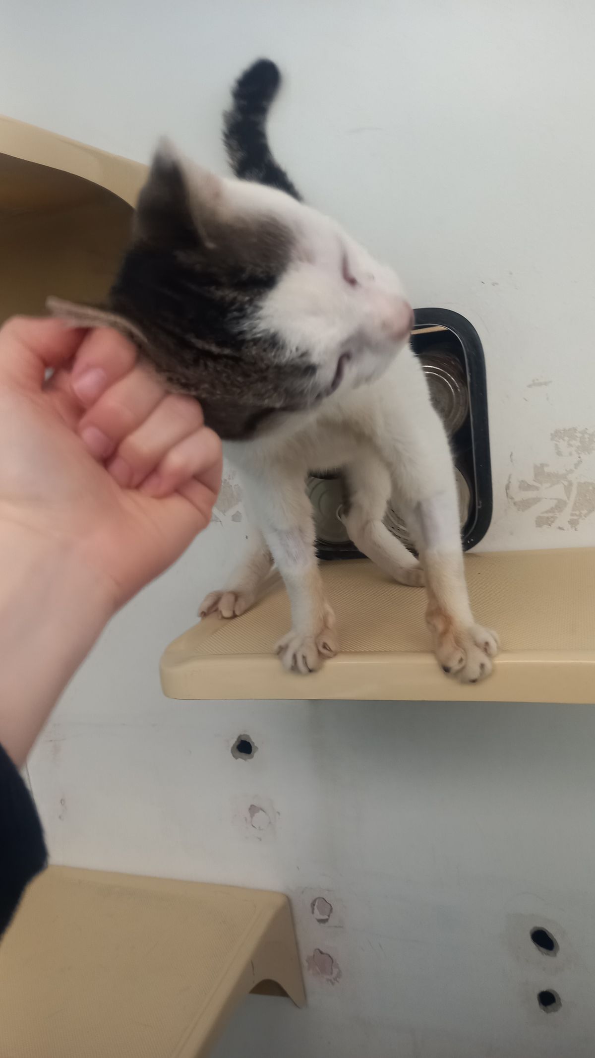 Gallery image: Edgar