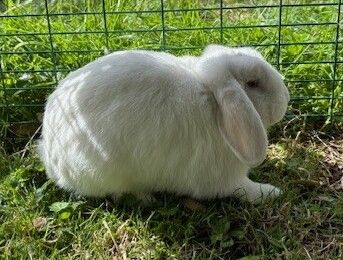 Gallery image: Squiz