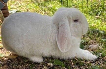 Gallery image: Squiz