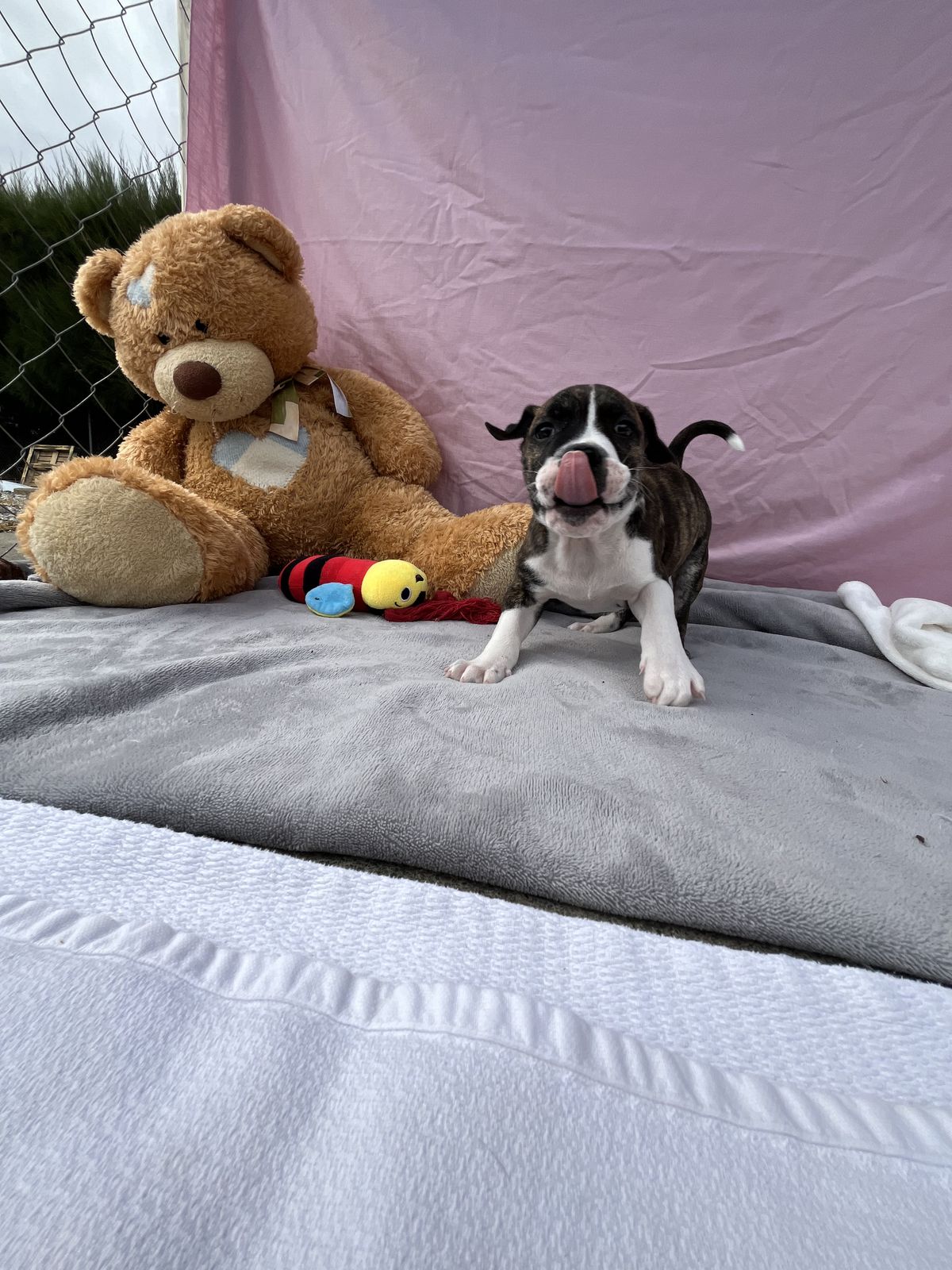 Gallery image: Whisky