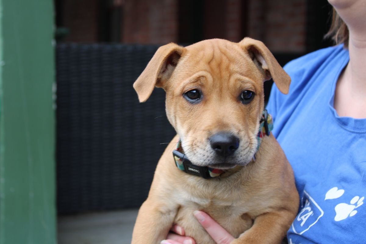 Gallery image: Gravy