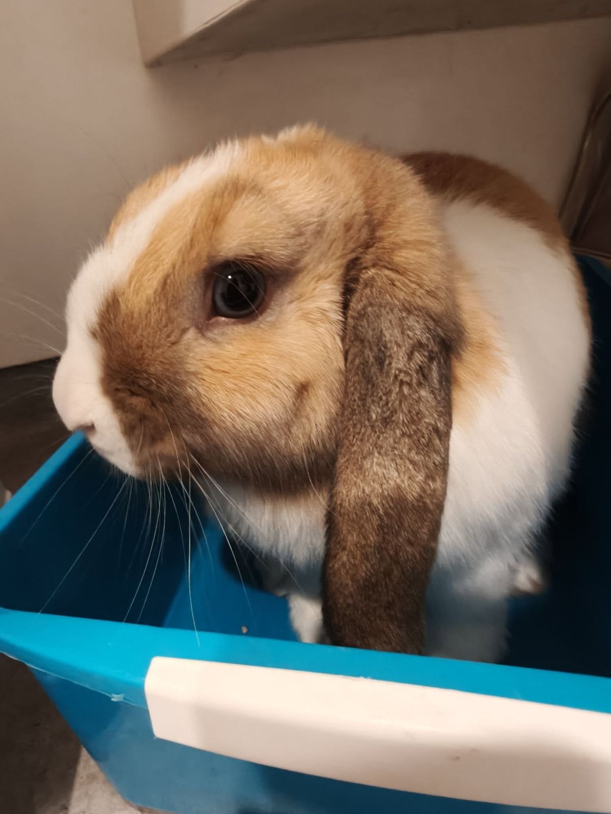 Gallery image: Miles