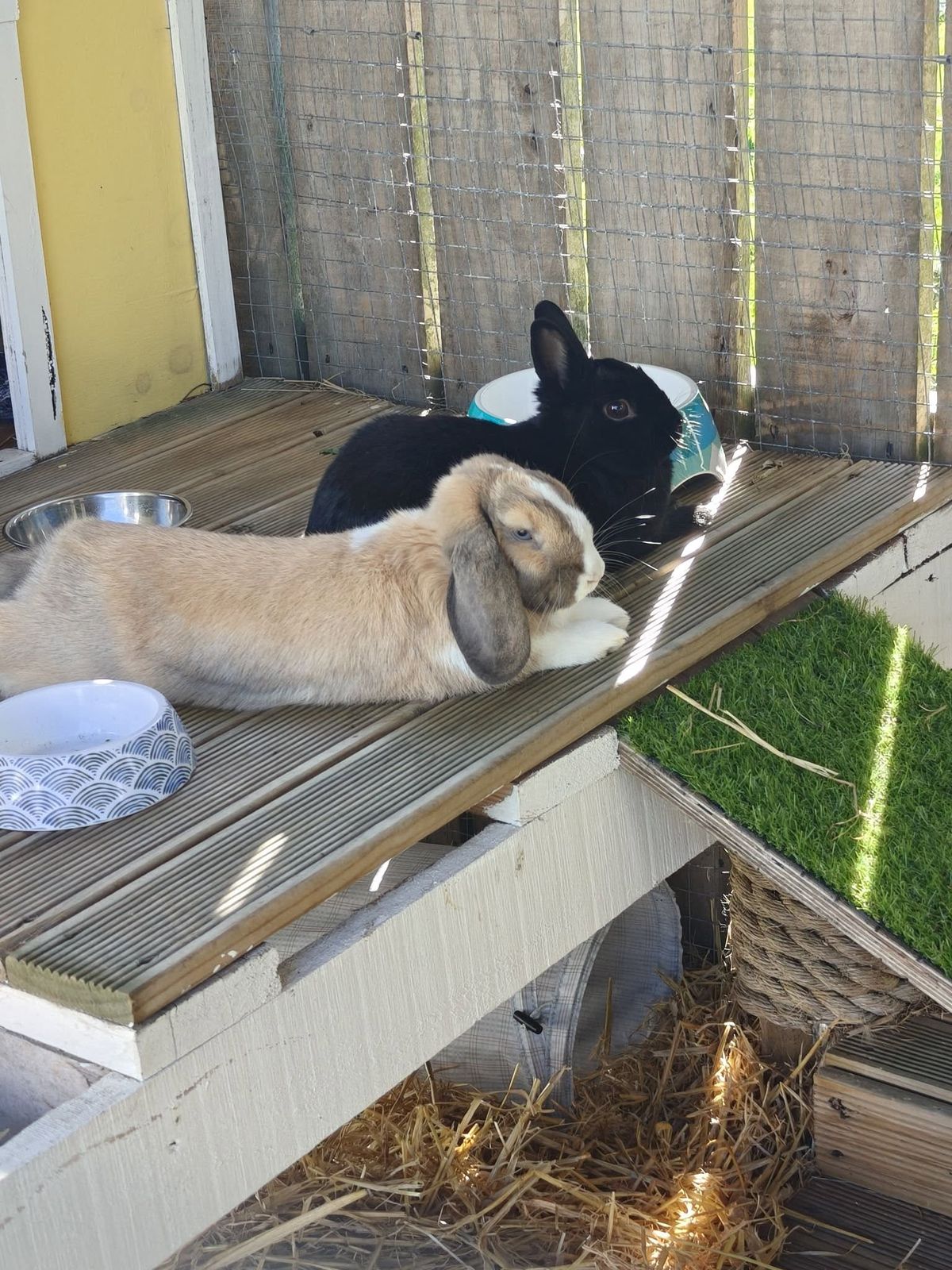 Gallery image: Miles