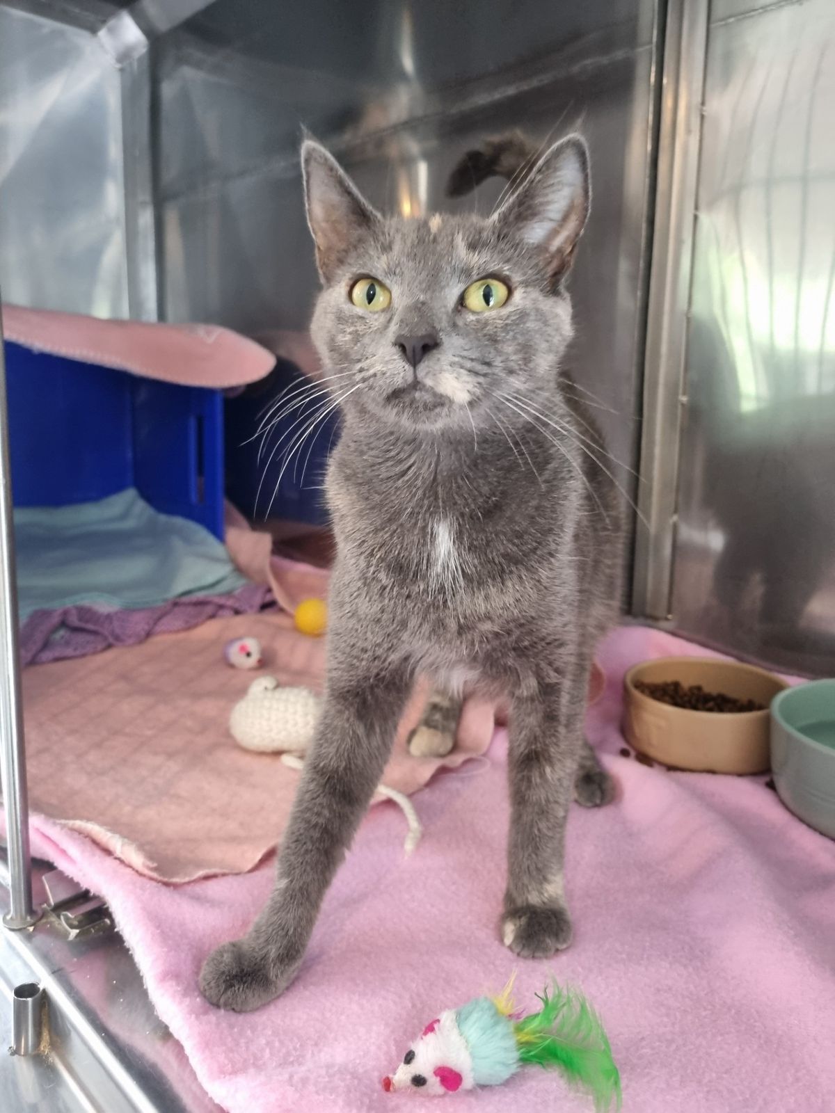 Gallery image: Vienna