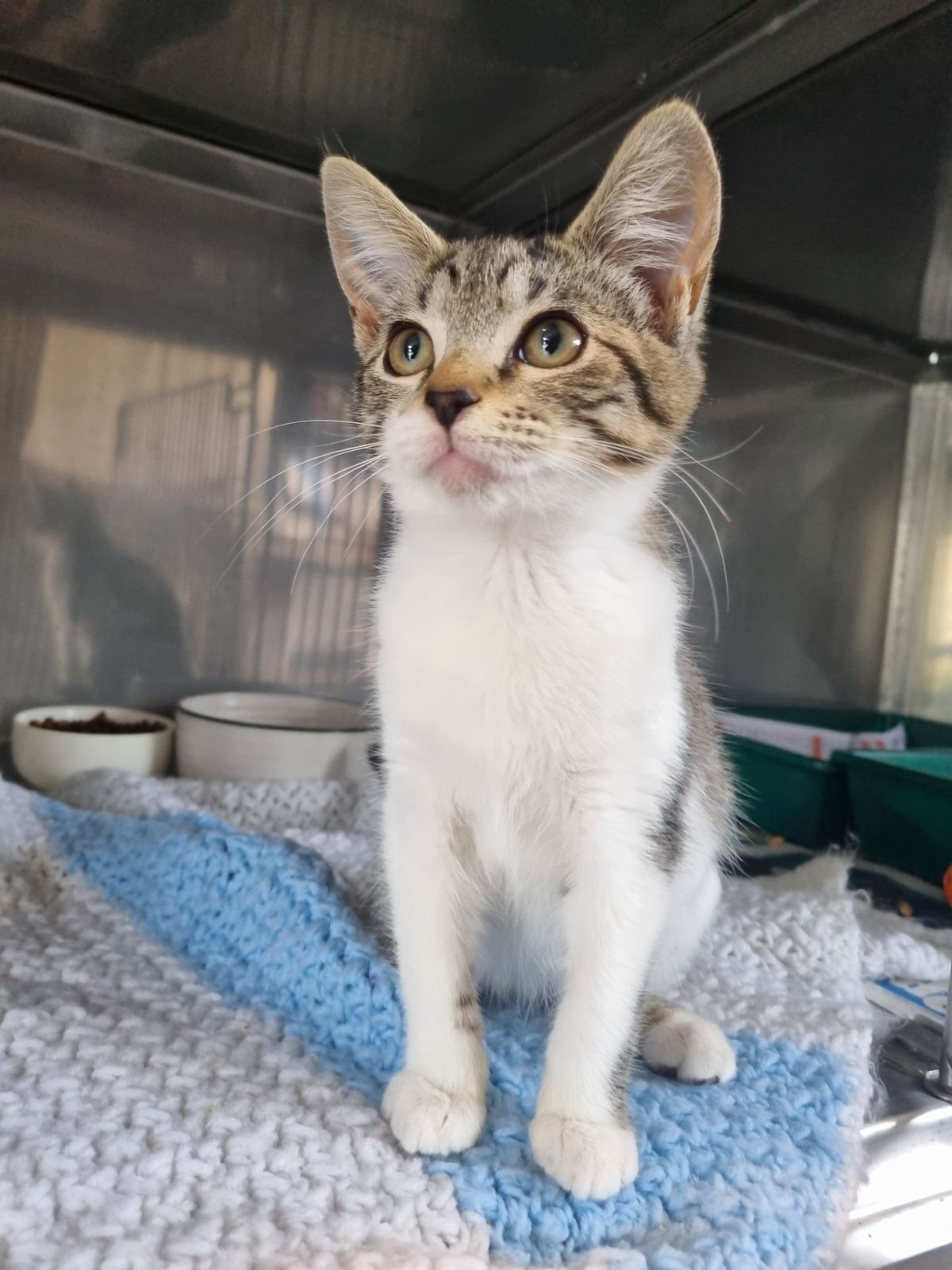 Gallery image: Fiona