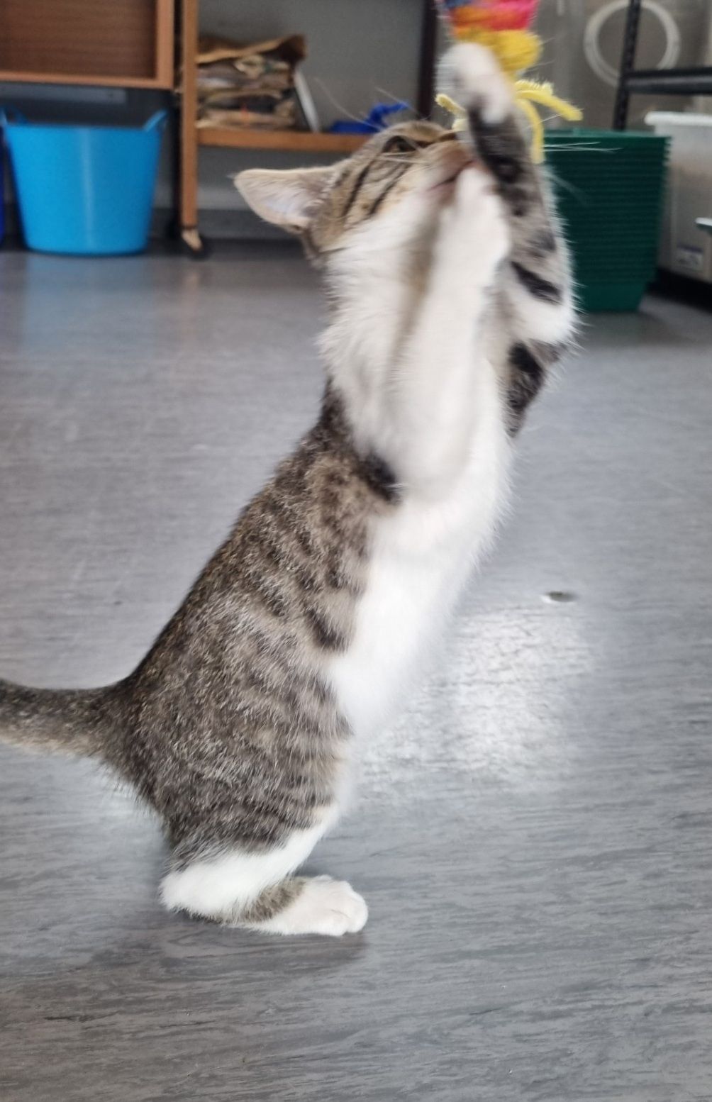 Gallery image: Fiona