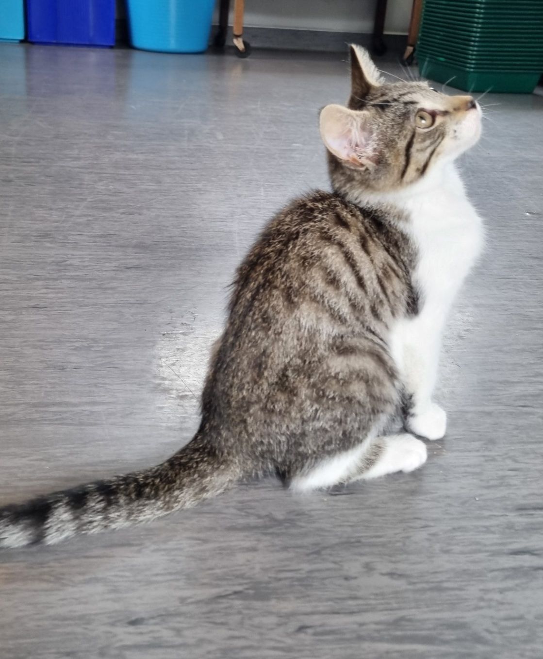 Gallery image: Fiona