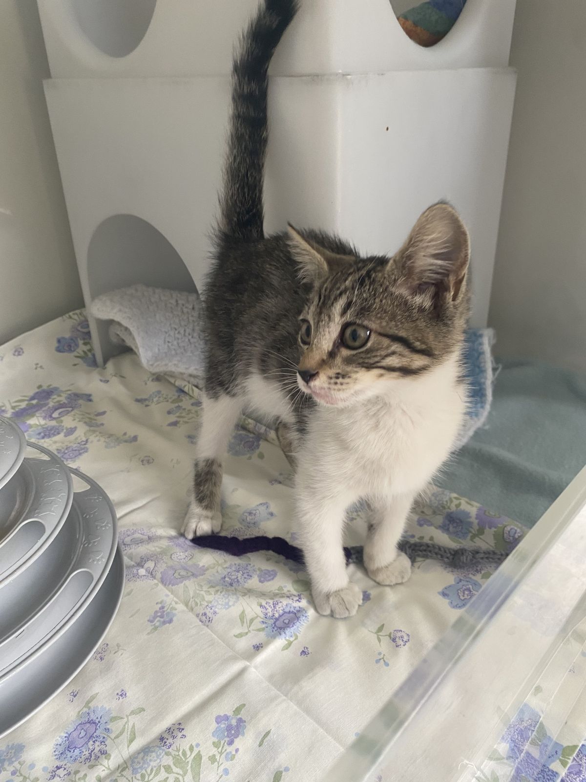 Gallery image: Fiona