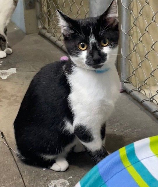 Gallery image: Dewey