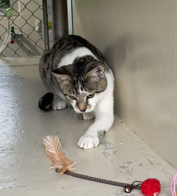 Gallery image: Louie