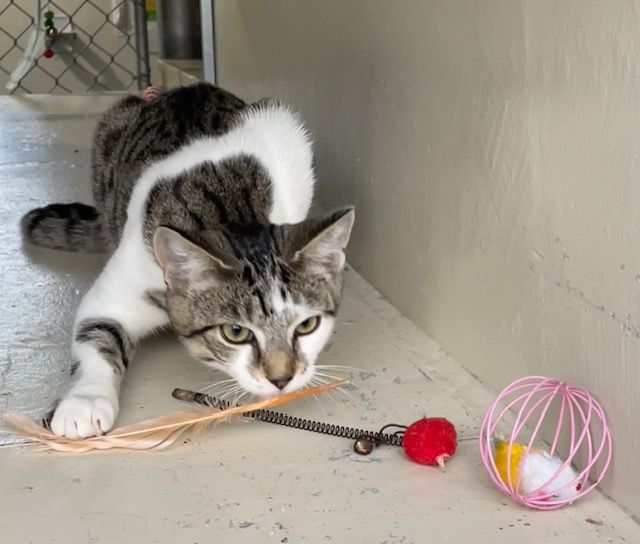 Gallery image: Louie