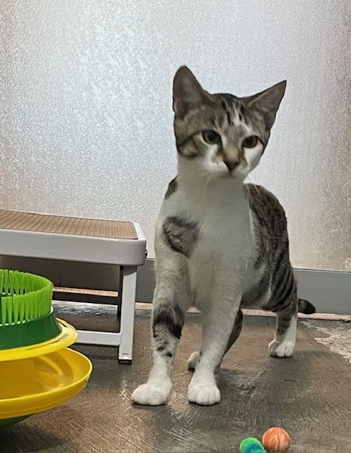 Gallery image: Louie