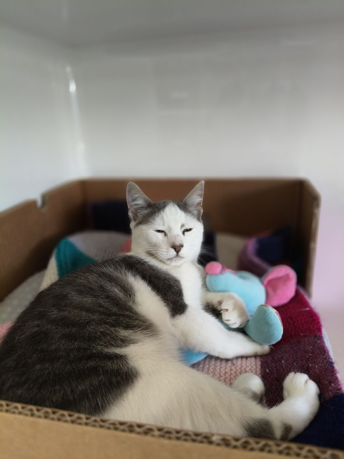 Gallery image: Slade