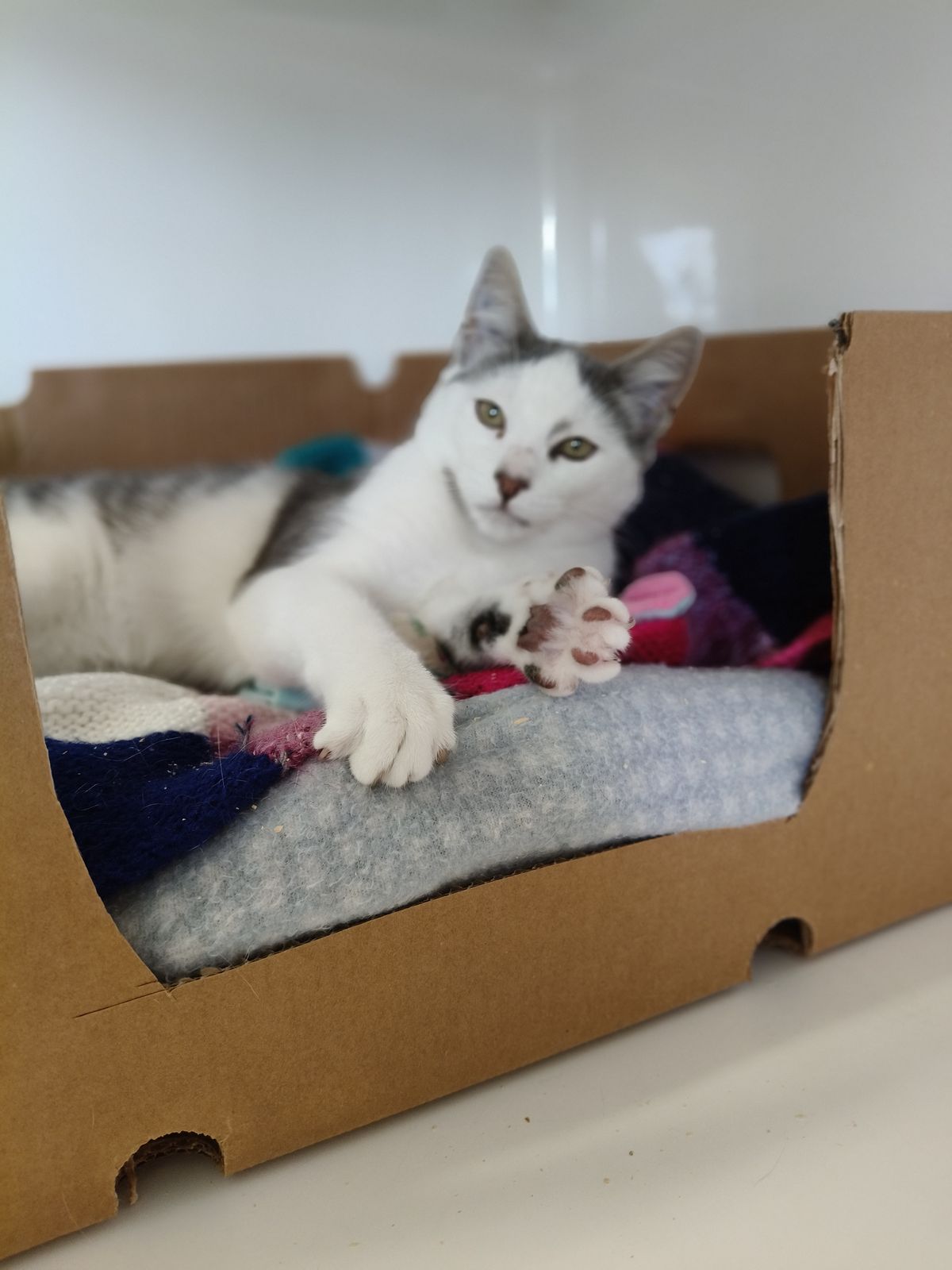 Gallery image: Slade