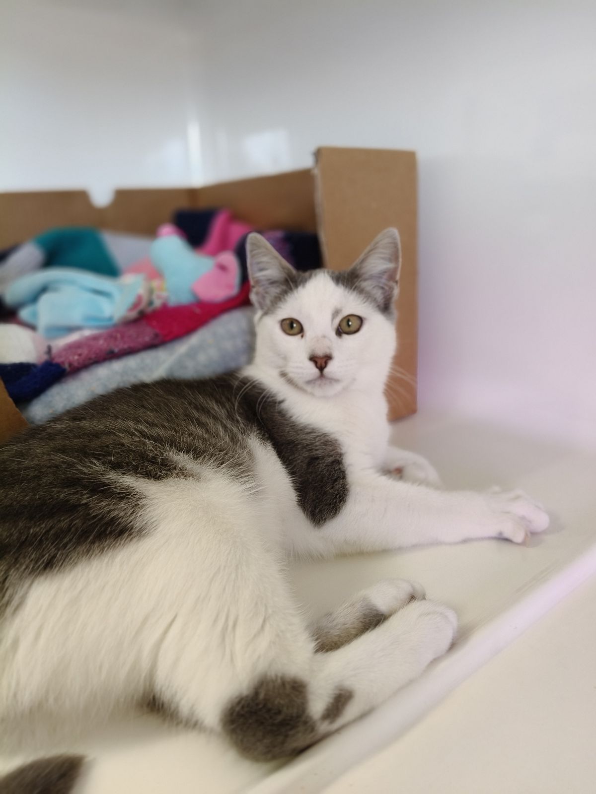 Gallery image: Slade