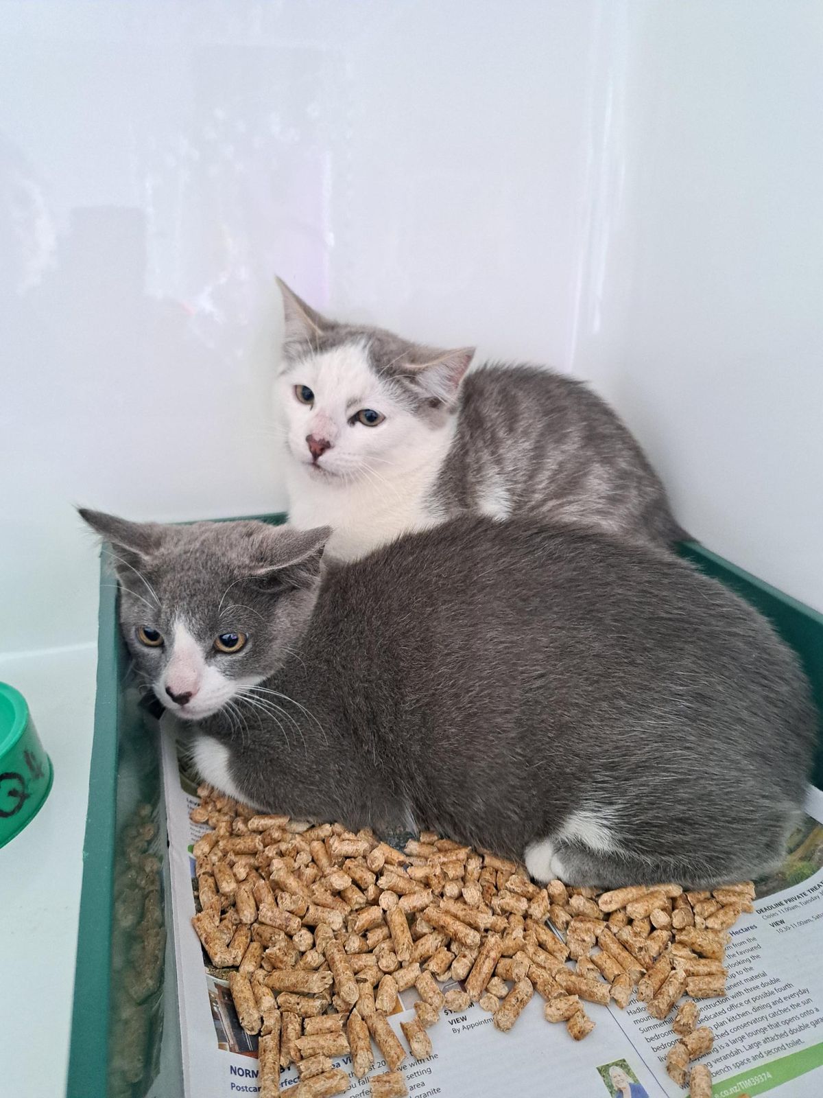 Gallery image: Slade