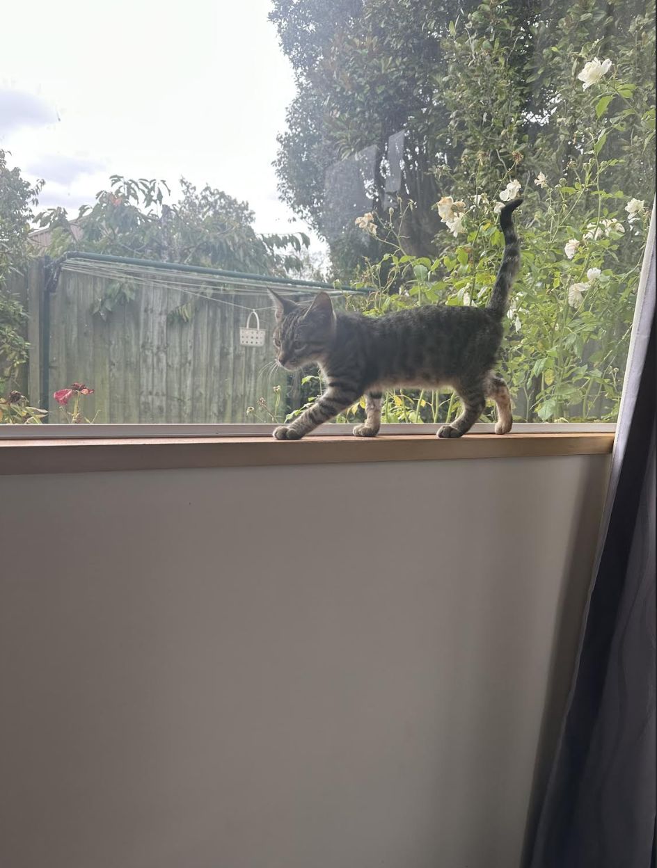 Gallery image: Miles