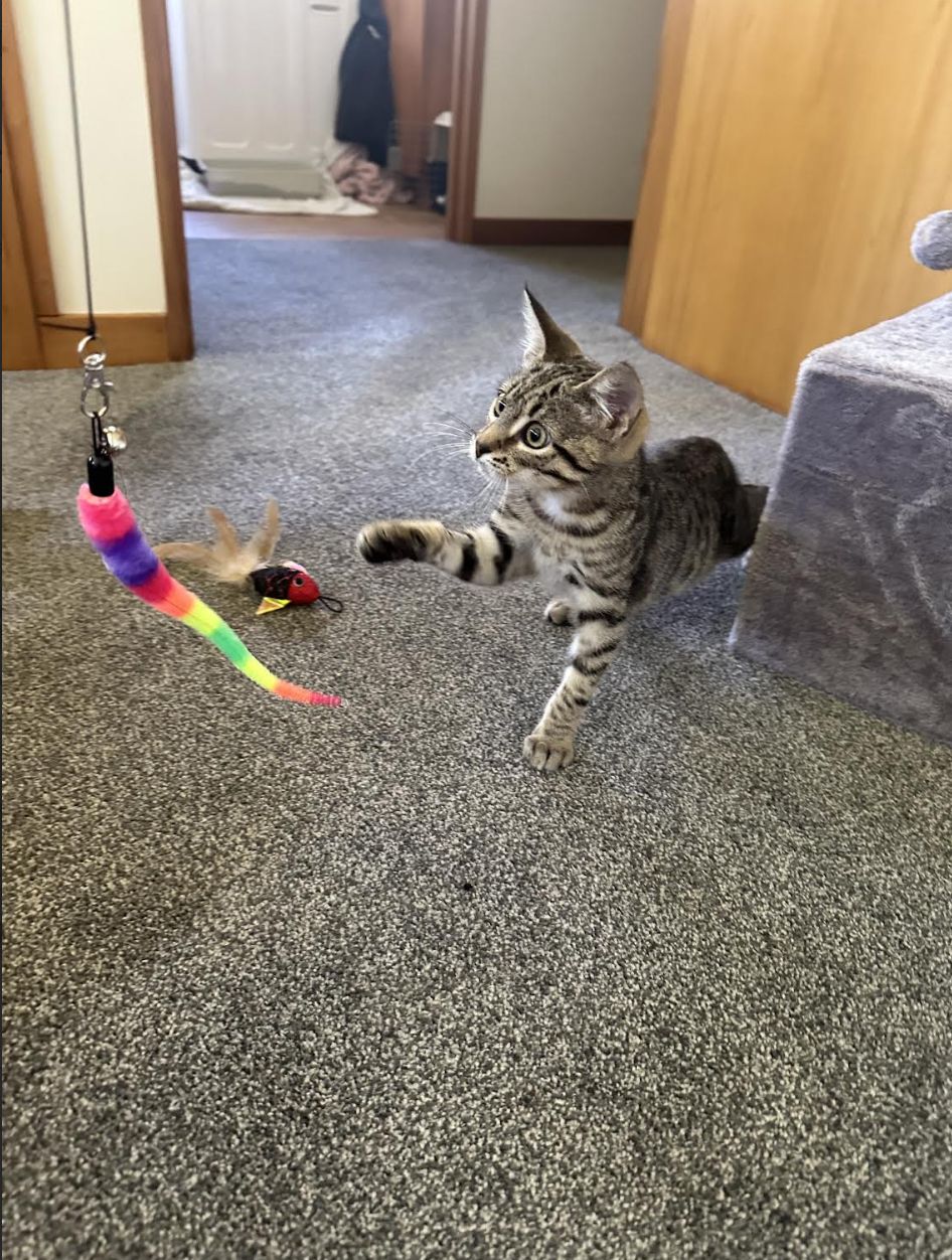 Gallery image: Miles