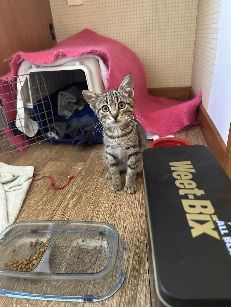 Gallery image: Miles