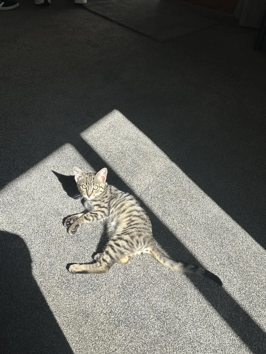 Gallery image: Miles