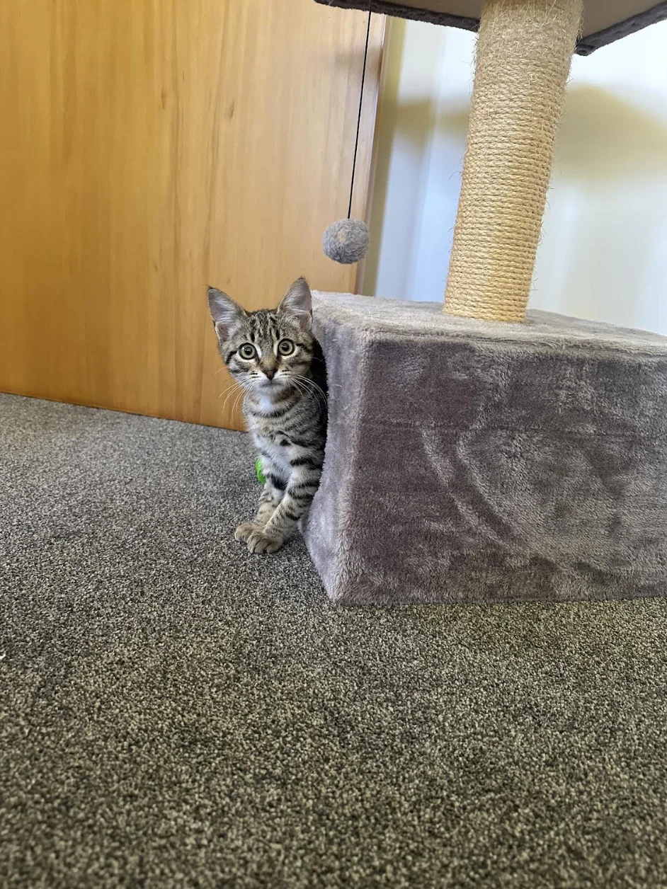 Gallery image: Miles