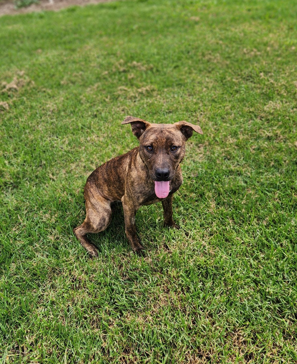 Gallery image: Zelda