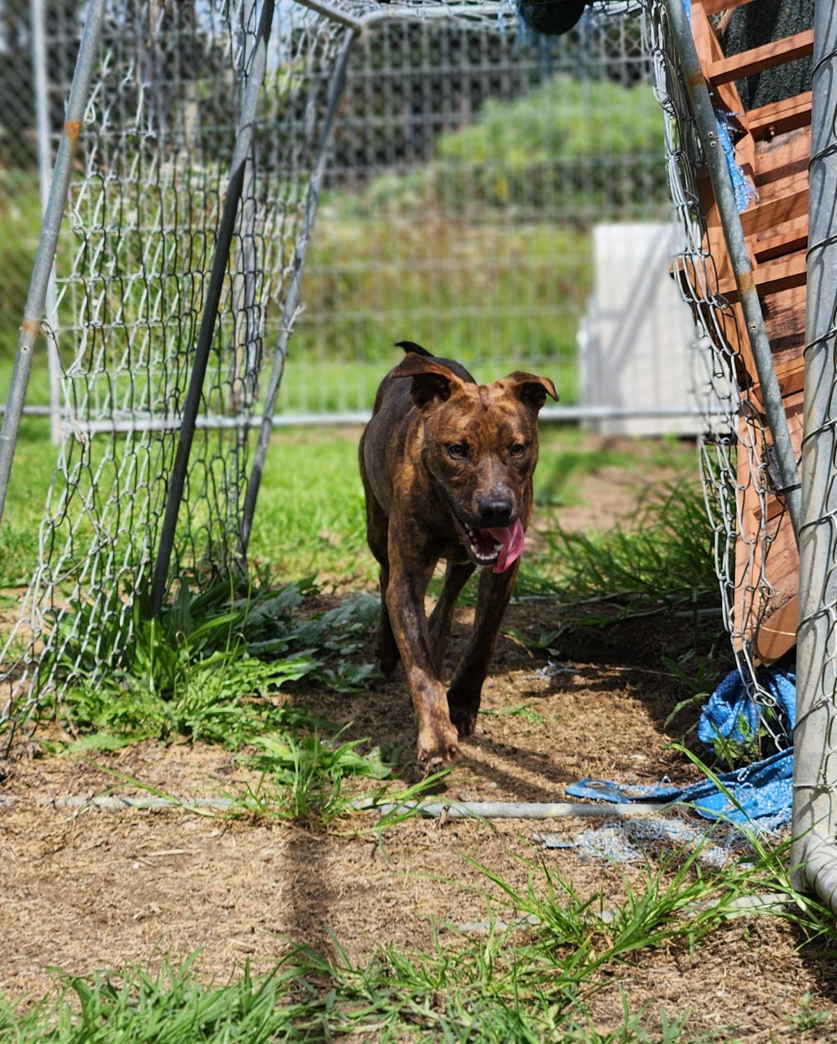 Gallery image: Zelda