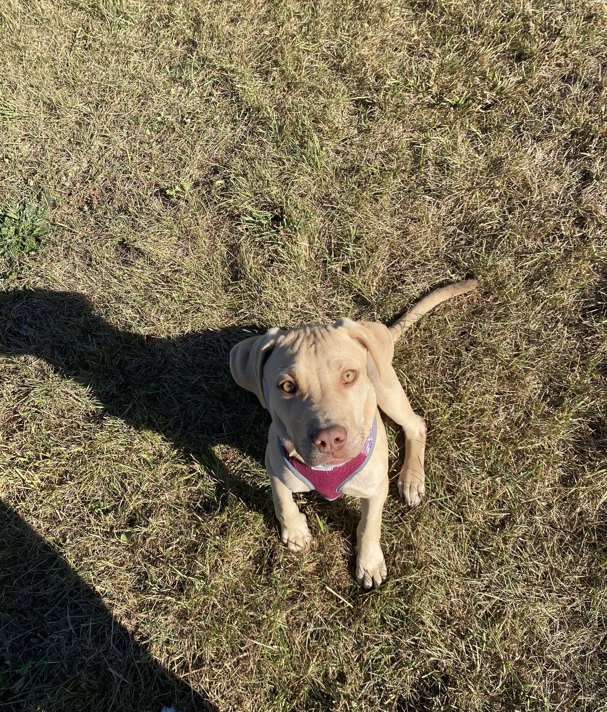 Gallery image: Helix