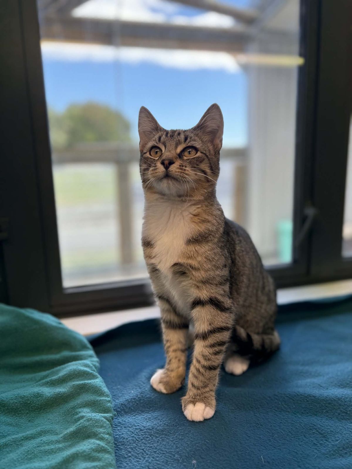 Gallery image: Jerry