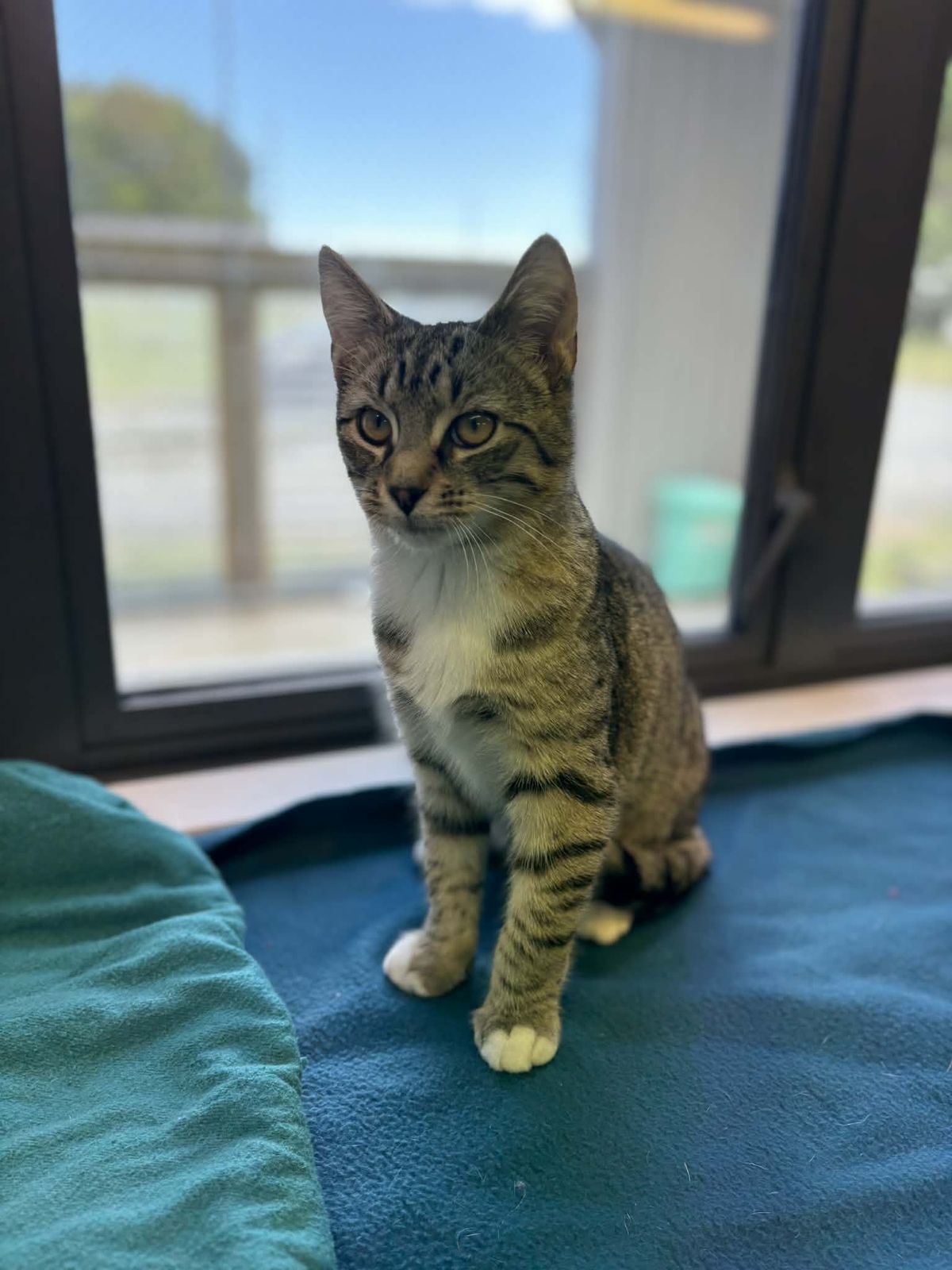 Gallery image: Jerry