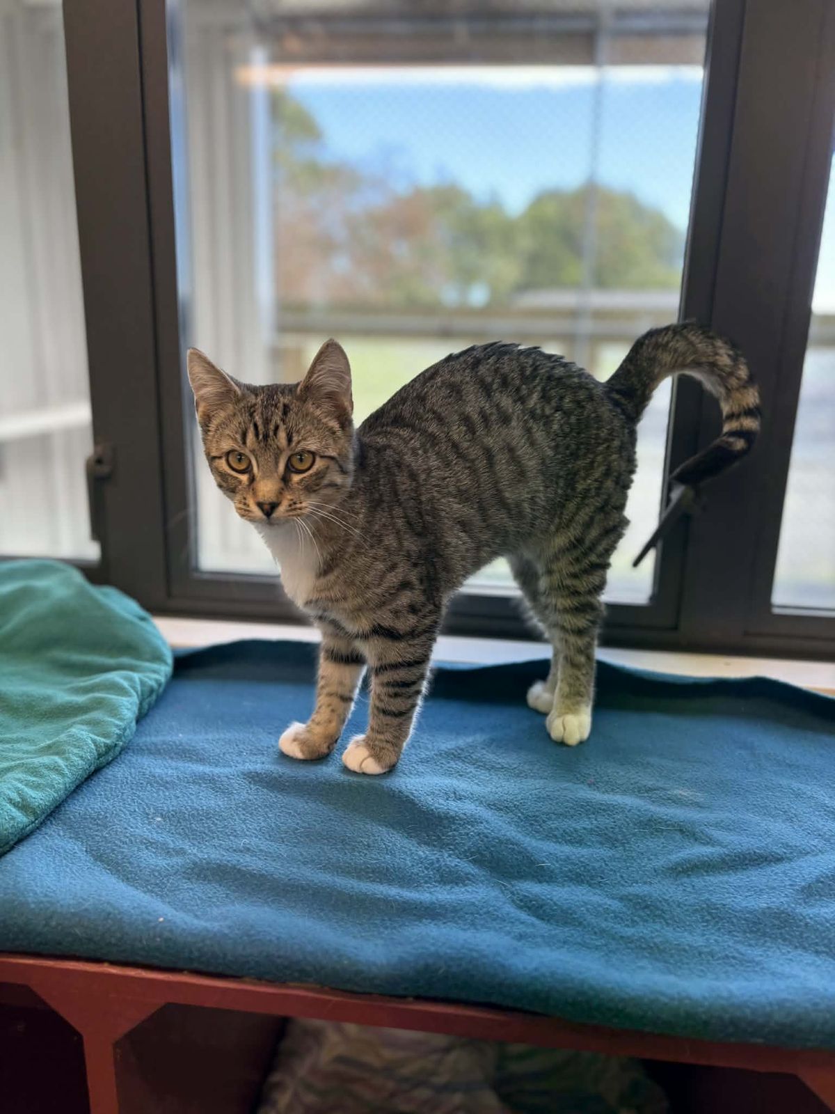 Gallery image: Jerry